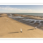 La plage de Quend avec ses bouchots et ses chars-à-voile