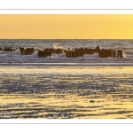 coucher de soleil sur les bouchots