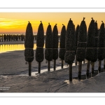 coucher de soleil suir les bouchots