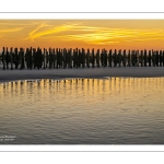 coucher de soleil suir les bouchots