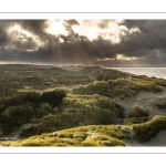 La plage et les dunes entre Quend-Plage et la Baie de Somme
