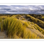 La plage et les dunes entre Quend-Plage et la Baie de Somme
