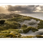 La plage et les dunes entre Quend-Plage et la Baie de Somme