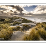 La plage et les dunes entre Quend-Plage et la Baie de Somme