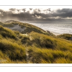 La plage et les dunes entre Quend-Plage et la Baie de Somme