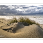 La plage et les dunes entre Quend-Plage et la Baie de Somme