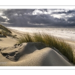 La plage et les dunes entre Quend-Plage et la Baie de Somme