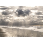 La plage et les dunes entre Quend-Plage et la Baie de Somme
