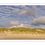 Les dunes entre Fort-Mahon et la Baie d'Authie