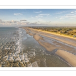 Les dunes du Marquenterre