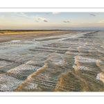 Les dunes du Marquenterre