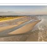 Les dunes du Marquenterre