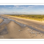 Les chars à voile sur la plage de Quend