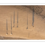 Les chars à voile sur la plage de Quend
