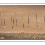 Les chars à voile sur la plage de Quend