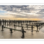 France, Somme (80), Baie d'Authie, Quend-Plage, les moules de bouchot et la mytiliculture à Quend-plage, 100 000 bouchots sur la plage qui sont découverts à marée basse, les "chantiers" soutiennent les cordes qui recueillent les naissains pour la récolte suivante // France, Somme (80), Authie Bay, Quend-Plage, bouchot mussels and mussel farming at Quend-plage, 100 000 bouchots on the beach which are uncovered at low tide, the "yards" support the ropes that collect the spat for the next harvest