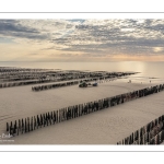 France, Somme (80), Baie d'Authie, Quend-Plage, les moules de bouchot et la mytiliculture à Quend-plage, 100 000 bouchots sur la plage qui sont découverts à marée basse (vue aérienne) // France, Somme (80), Authie Bay, Quend-Plage, bouchot mussels and mussel farming at Quend-plage, 100 000 bouchots on the beach which are uncovered at low tide (aerial view)