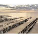 France, Somme (80), Baie d'Authie, Quend-Plage, les moules de bouchot et la mytiliculture à Quend-plage, 100 000 bouchots sur la plage qui sont découverts à marée basse (vue aérienne) // France, Somme (80), Authie Bay, Quend-Plage, bouchot mussels and mussel farming at Quend-plage, 100 000 bouchots on the beach which are uncovered at low tide (aerial view)