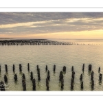 France, Somme (80), Baie d'Authie, Quend-Plage, les moules de bouchot et la mytiliculture à Quend-plage, 100 000 bouchots sur la plage qui sont découverts à marée basse (vue aérienne) // France, Somme (80), Authie Bay, Quend-Plage, bouchot mussels and mussel farming at Quend-plage, 100 000 bouchots on the beach which are uncovered at low tide (aerial view)