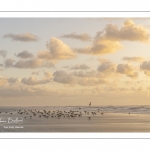 La plage de Quend-Plage en fin de journée