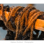 quend_bouchots_20_08_2013_009-border