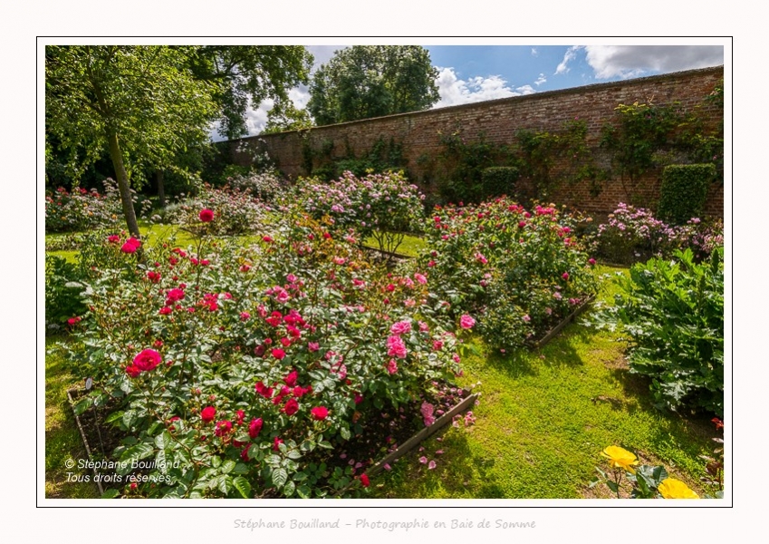 Rambures_25_06_2016_017-border