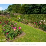 Rambures_25_06_2016_002-border