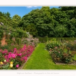 Rambures_25_06_2016_005-border
