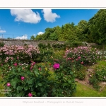 Rambures_25_06_2016_008-border