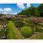 Rambures_25_06_2016_009-border