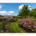 Rambures_25_06_2016_010-border