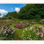 Rambures_25_06_2016_011-border