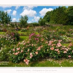 Rambures_25_06_2016_012-border