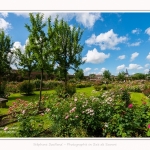 Rambures_25_06_2016_014-border