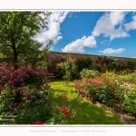Rambures_25_06_2016_015-border
