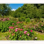 Rambures_25_06_2016_018-border