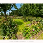 Rambures_25_06_2016_019-border