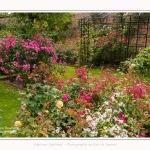 Rambures_25_06_2016_020-border