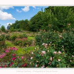 Rambures_25_06_2016_021-border