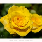 Rambures_25_06_2016_026-border