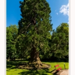 Rambures_25_06_2016_057-border