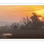 Les marais de la basse vallée de la somme près de Noyelles-sur-mer