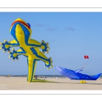Rencontres Internationnales de Cerfs-volants de Berck-sur-mer (RICV) - 2022