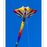 Rencontres Internationnales de Cerfs-volants de Berck-sur-mer (RICV) - 2022