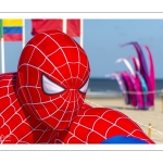 Rencontres Internationnales de Cerfs-volants de Berck-sur-mer (RICV) - 2022