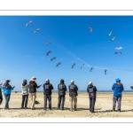 Rencontres Internationnales de Cerfs-volants de Berck-sur-mer (RICV) - 2022