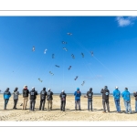 Rencontres Internationnales de Cerfs-volants de Berck-sur-mer (RICV) - 2022