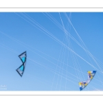 Rencontres Internationnales de Cerfs-volants de Berck-sur-mer (RICV) - 2022