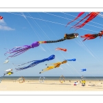 Rencontres Internationnales de Cerfs-volants de Berck-sur-mer (RICV) - 2022