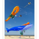 Rencontres Internationnales de Cerfs-volants de Berck-sur-mer (RICV) - 2022